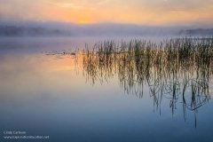 Subdued dawn on Lake Wabana